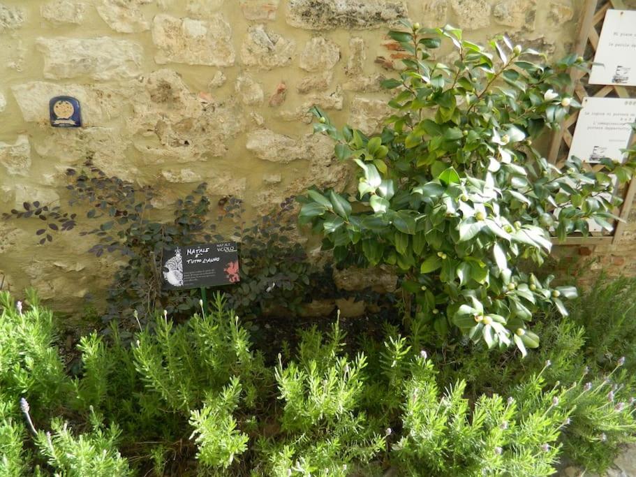 דירות נארני Casa Dell'Oliveto "Parcheggio Gratuito" מראה חיצוני תמונה