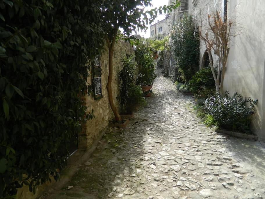 דירות נארני Casa Dell'Oliveto "Parcheggio Gratuito" מראה חיצוני תמונה