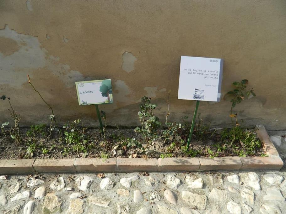 דירות נארני Casa Dell'Oliveto "Parcheggio Gratuito" מראה חיצוני תמונה