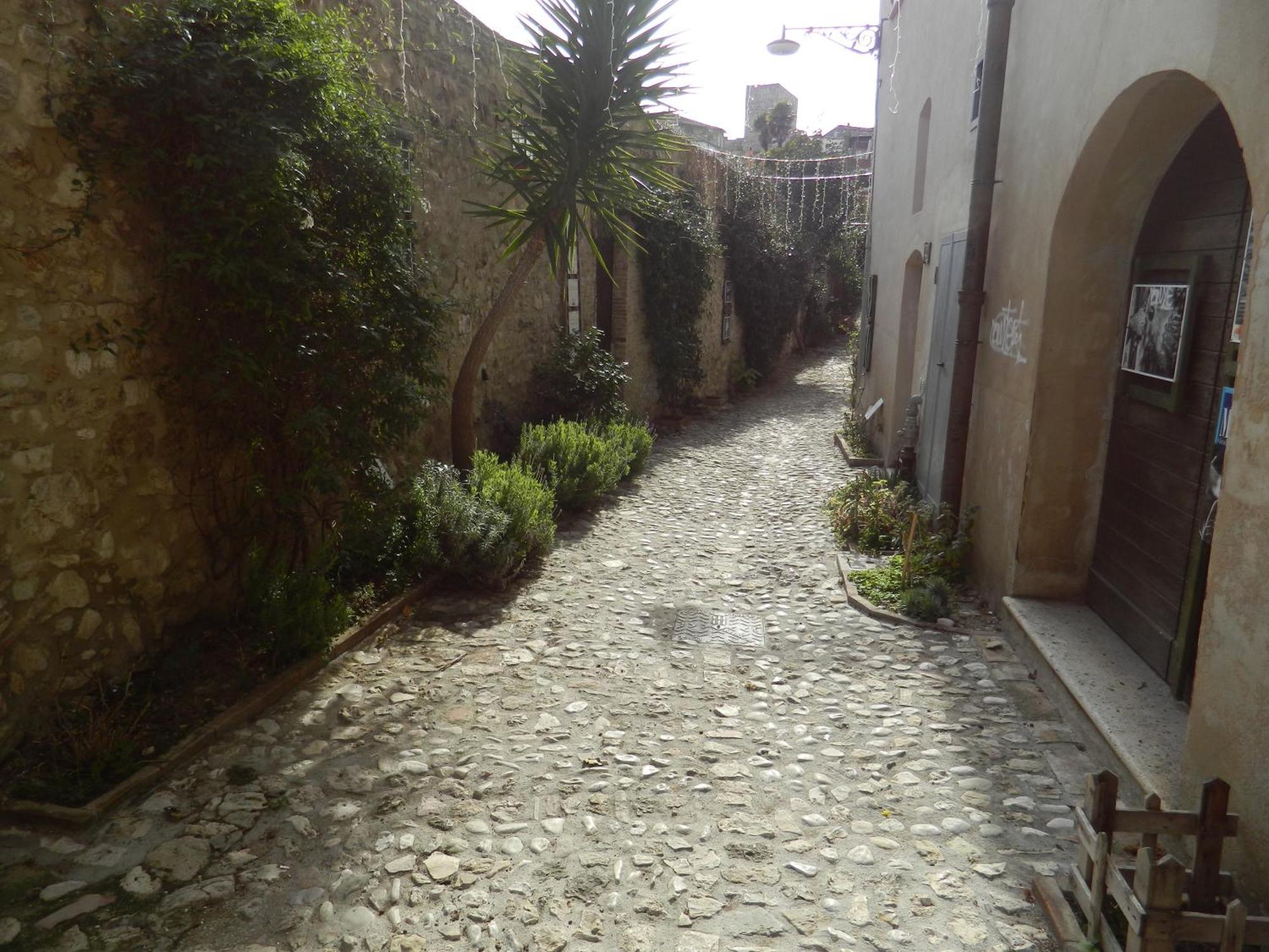דירות נארני Casa Dell'Oliveto "Parcheggio Gratuito" מראה חיצוני תמונה