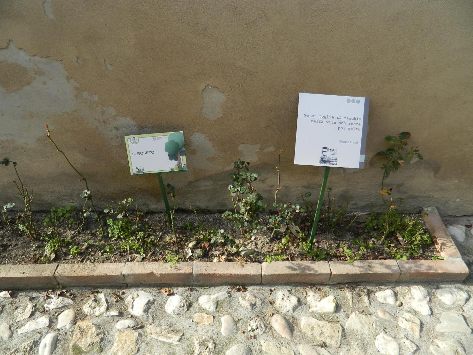 דירות נארני Casa Dell'Oliveto "Parcheggio Gratuito" מראה חיצוני תמונה