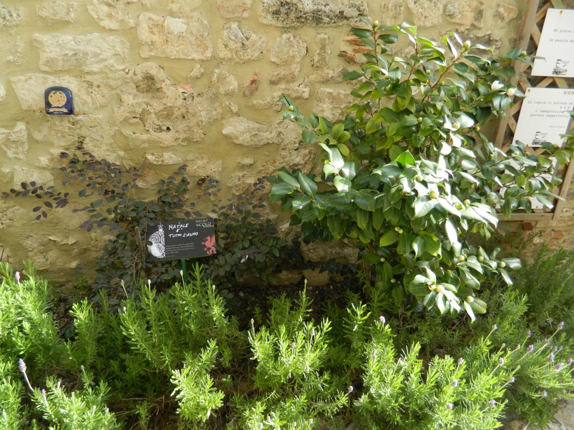 דירות נארני Casa Dell'Oliveto "Parcheggio Gratuito" מראה חיצוני תמונה